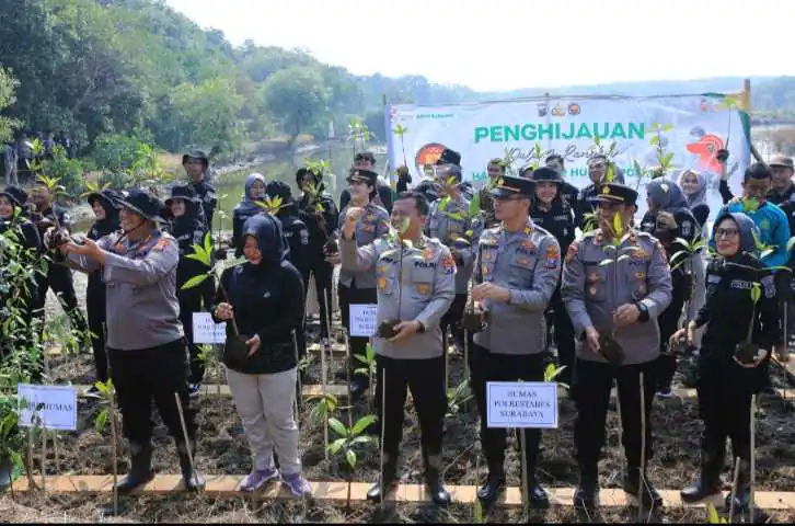 HUT Humas Polri Ke-72, Bidhumas Polda Jatim dan Jajaran Tanam Ribuan Bibit Mangrove Minimalisir Abrasi