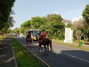 img 20231019 wa0132