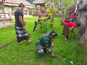 img 20231127 wa0051(1)