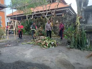 img 20231124 wa0054