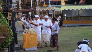 img 20231117 wa0019