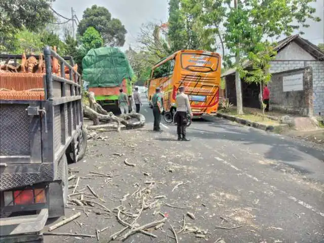 Pohon Tumbang Dan Menutup Sebagian Badan Jalan, Personil Polsek Bangli Laksanakan Pengaturan Arus Lalulintas
