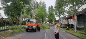 img 20231205 wa0057