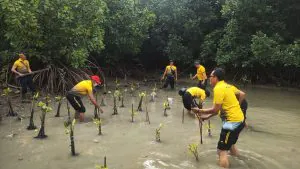img 20231208 wa0163