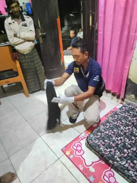 img 20231202 wa0026