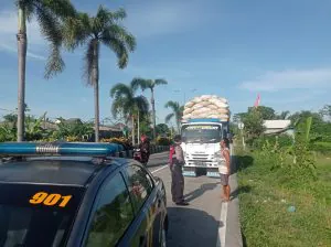 img 20240117 wa0050