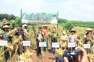 img 20240225 wa0193