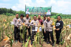 img 20240225 wa0194