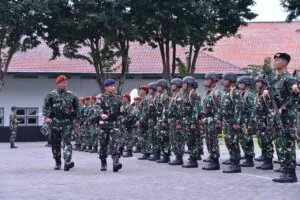 img 20240424 wa0235