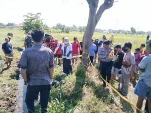 img 20240416 wa0133