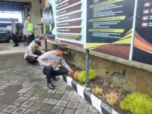 img 20240413 wa0047