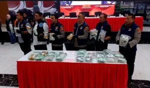 img 20240816 wa0242