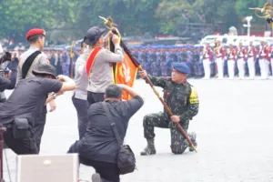 img 20241012 wa0182