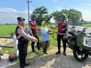 img 20241018 wa0151