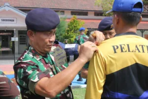 img 20241129 wa0227