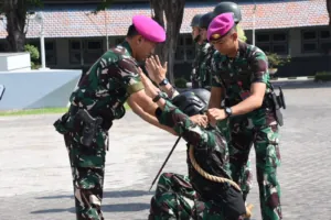 img 20241106 wa0155
