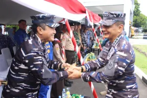 img 20241113 wa0154