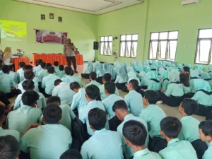 img 20241108 wa0127