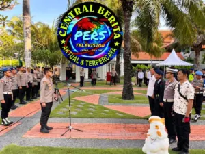 img 20241107 wa0014