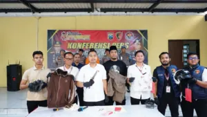img 20241111 wa0242