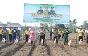img 20241116 wa0141