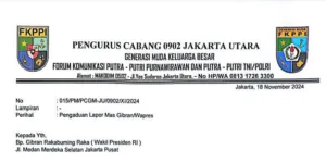 img 20241120 wa0050