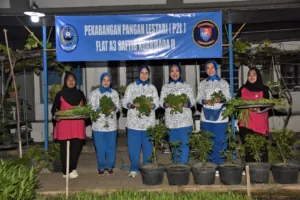 img 20241115 wa0111