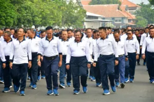 img 20241126 wa0279