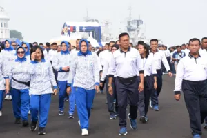 img 20241126 wa0254