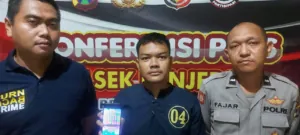 img 20241112 wa0293