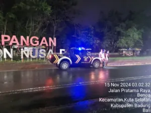 img 20241115 wa0011