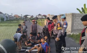 img 20241112 wa0019