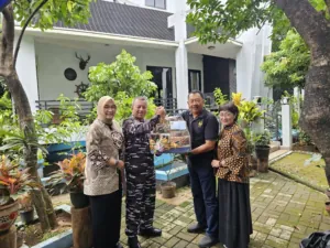 img 20241129 wa0328