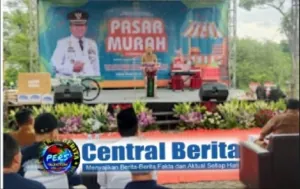 img 20241210 wa0071