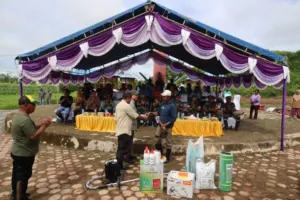 img 20241213 wa0290