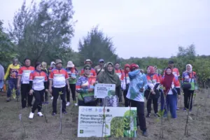 img 20241215 wa0114