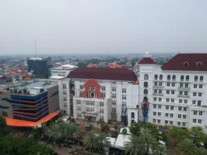 img 20241216 wa0196(1)
