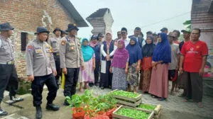 img 20241211 wa0162