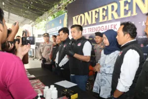 img 20241213 wa0153