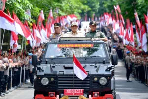 img 20241212 wa0062