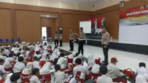 img 20241216 wa0186