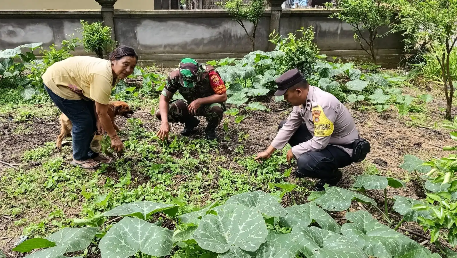 Bhabinkamtibmas Bersinergi Dengan Babinsa, Sambangi dan Monitoring Kegiatan Ketahanan Pangan di Banjar Landih