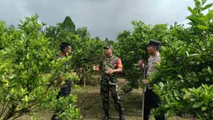 Img 20250106 Wa0016(1)