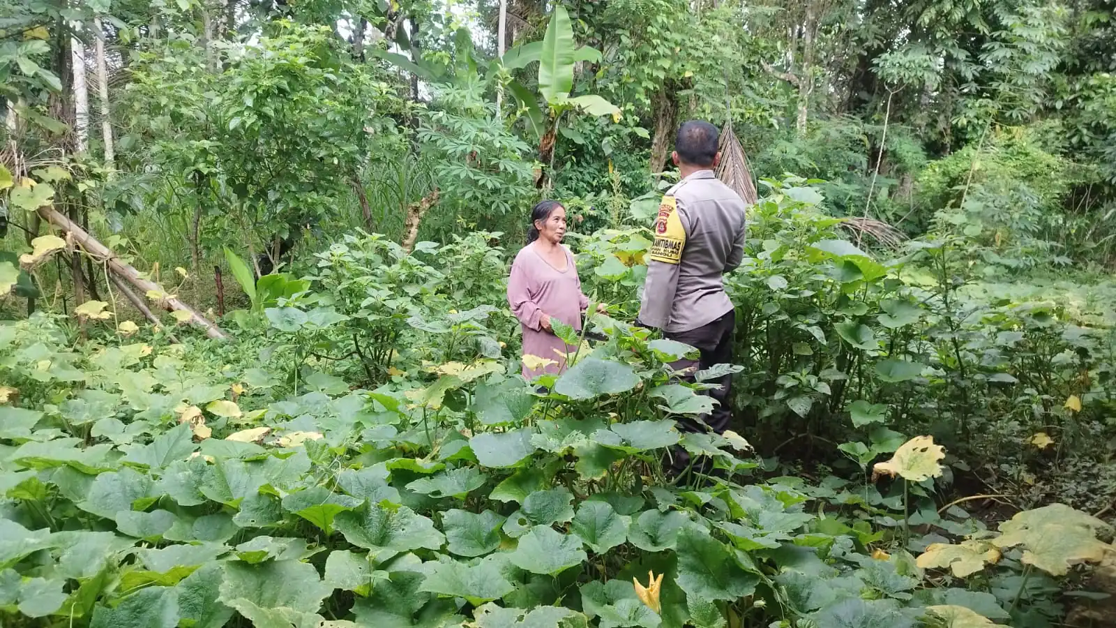 Dukung Ketahanan Pangan, Bhabinkamtibmas Monitoring Ketahanan Pangan Bergizi di Lingk. Kubu