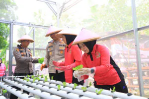 Img 20250225 Wa0021