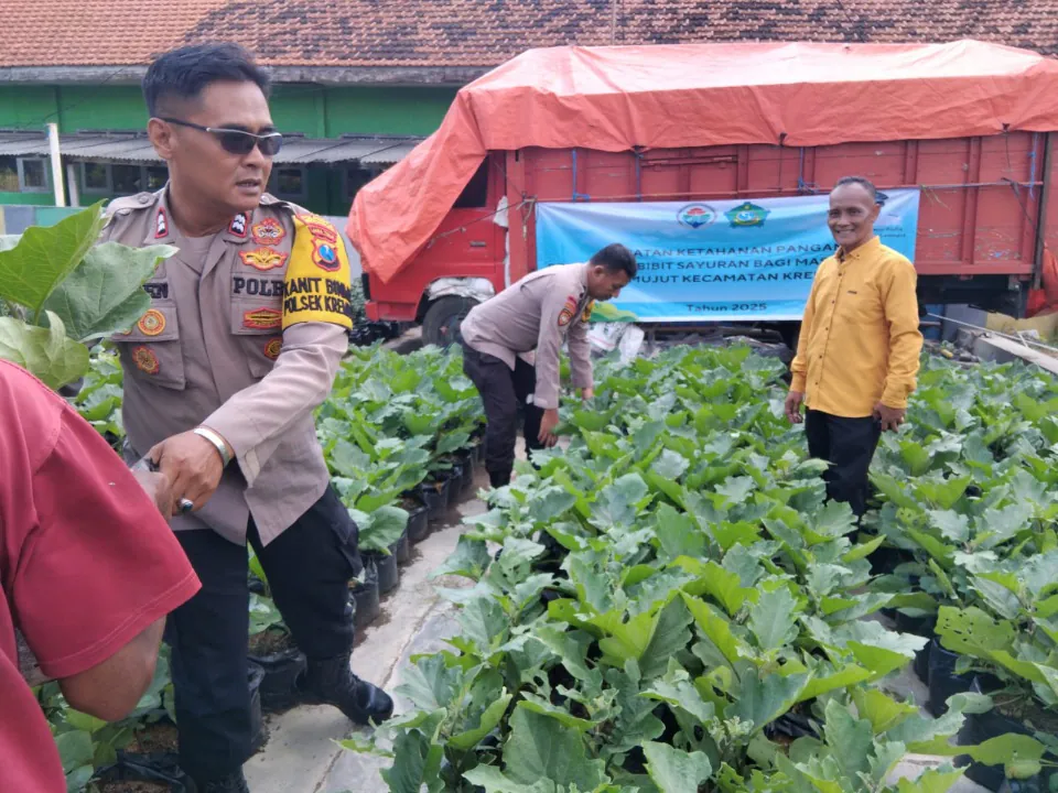 Gotong Royong Distribusikan Bibit Hortikultura di Desa Lemujut