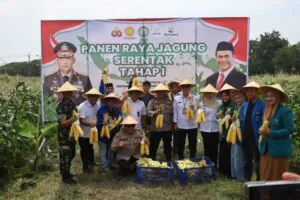 Img 20250226 Wa0267