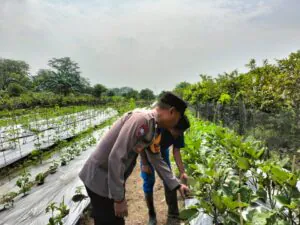 Img 20250308 Wa0171