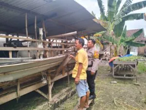 Img 20250315 Wa0146