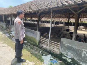 Img 20250321 Wa0015